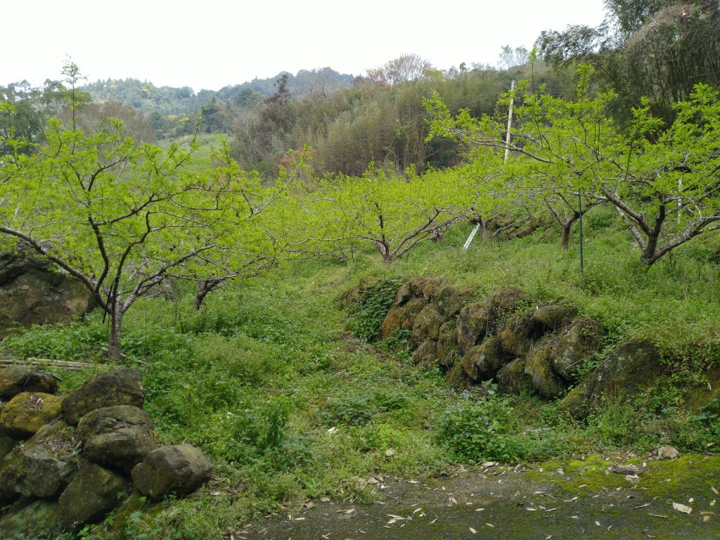 2022-02-26 馬那邦山_1621361