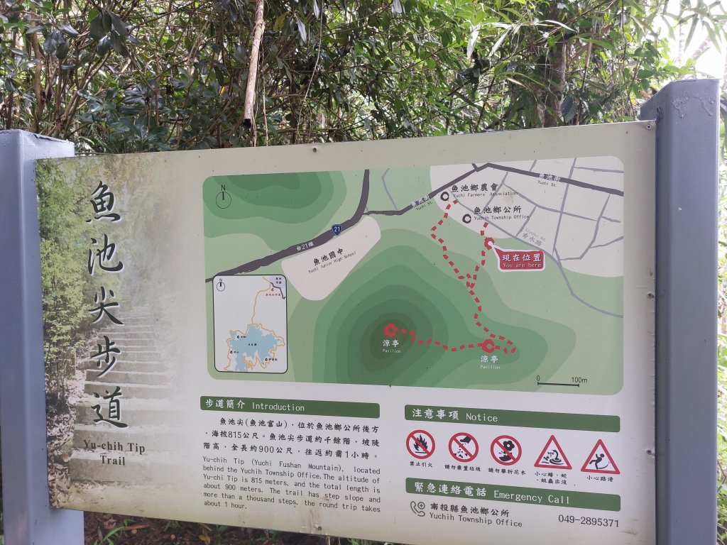 一日魚池三步道：澀水森林步道、魚池尖登山步道、金龍山步道20220702_1803902