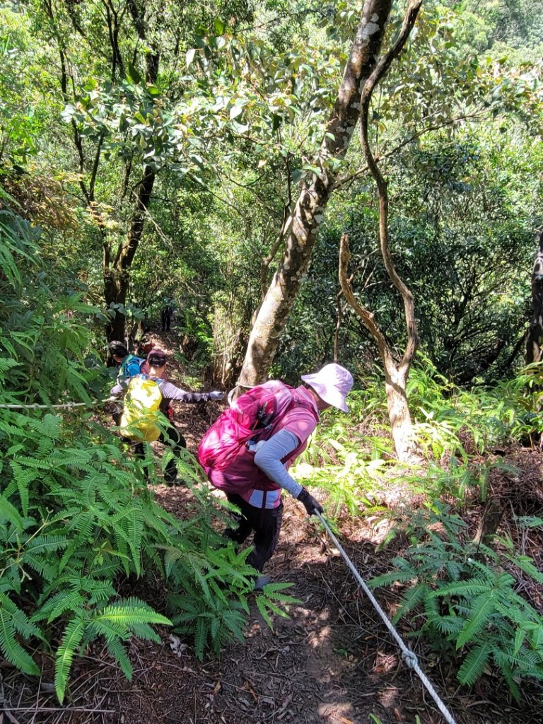 112.07.25 石碇連稜縱走_2233450