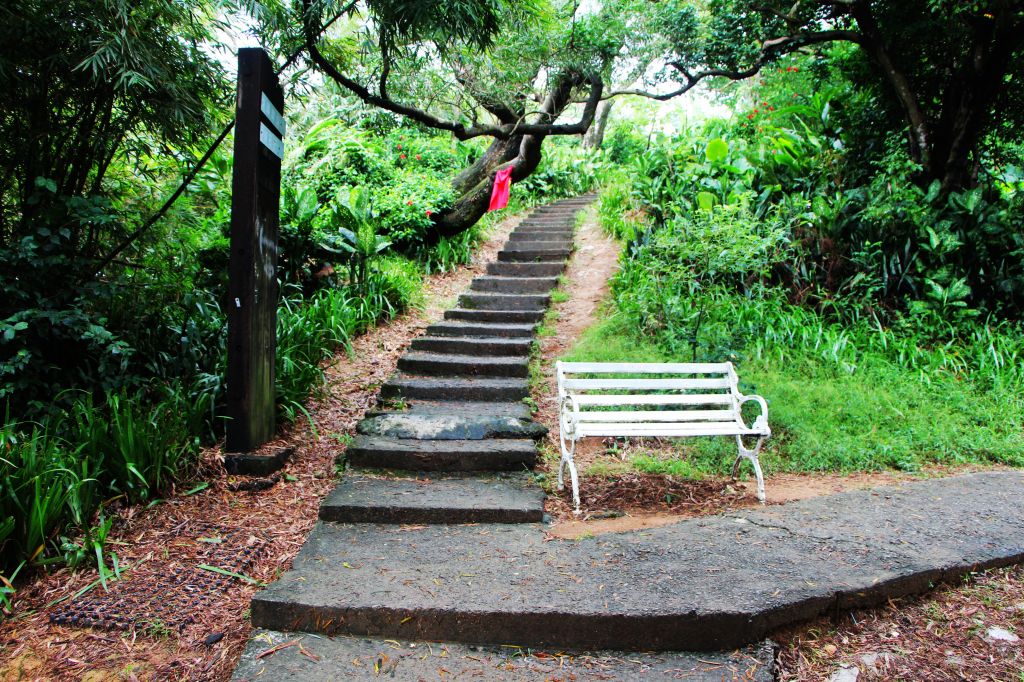 中和步道導引(圓通寺路段) - 山林健走&古剎禮佛 兩相宜 !_185413