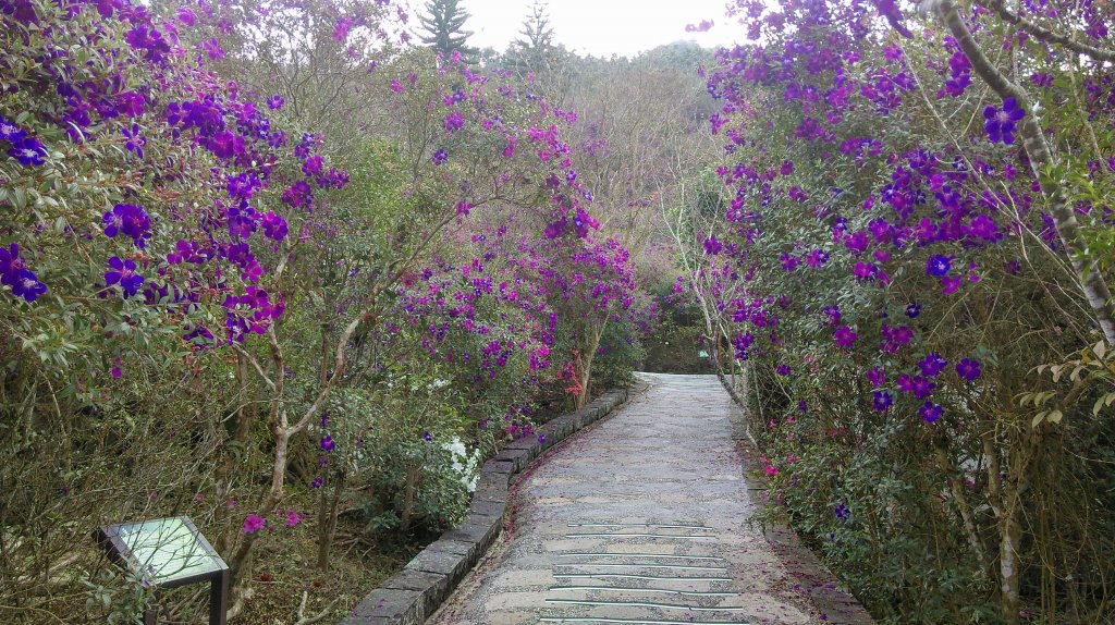 梅峰古道封面圖