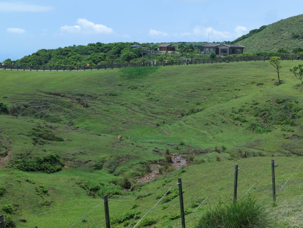 2025.04.27－金包里大路~小油坑縱走_2770950