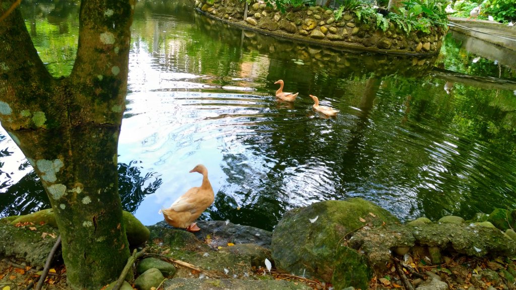 文學步道_1500342