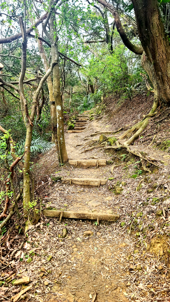 2025-0104 造鎮_五城山_天上山_三粒半_火焰山_慈惠堂_土城大潤發_2682126