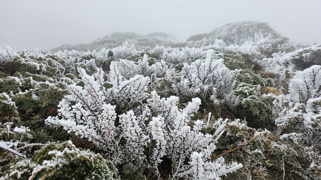 112.3.13～3.14 冰封奇萊主北_2074137