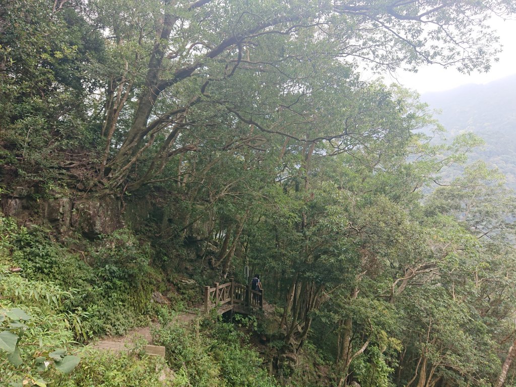 滿月圓-東滿步道_1293533