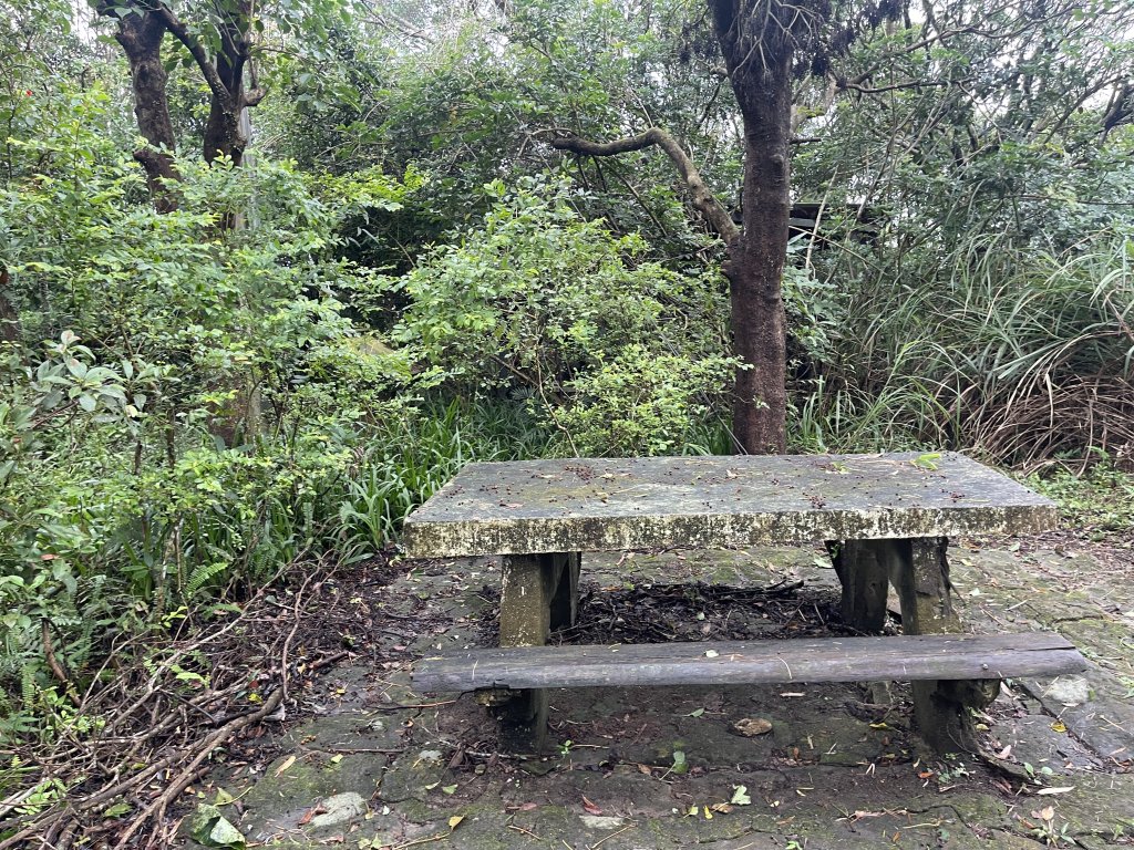 翠山步道 + 碧溪步道 + 大崙尾步道_2649959