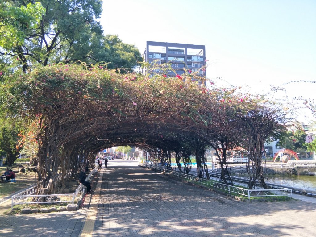 萬年公園_1620938