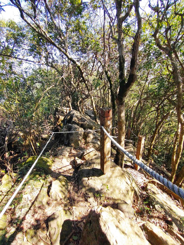 20220311龍麟山攀登_1636494