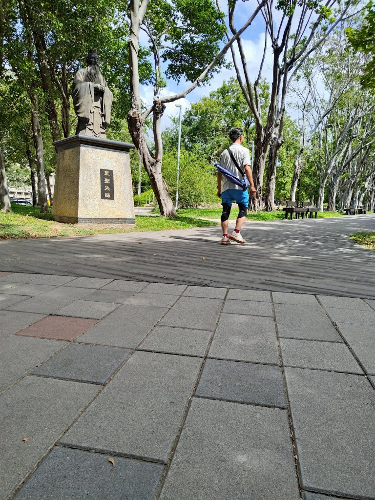 新竹市枕頭山步道健走封面圖