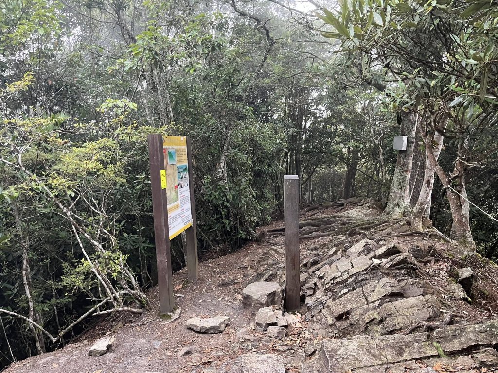 屋我尾山（大雪山線）_2867460