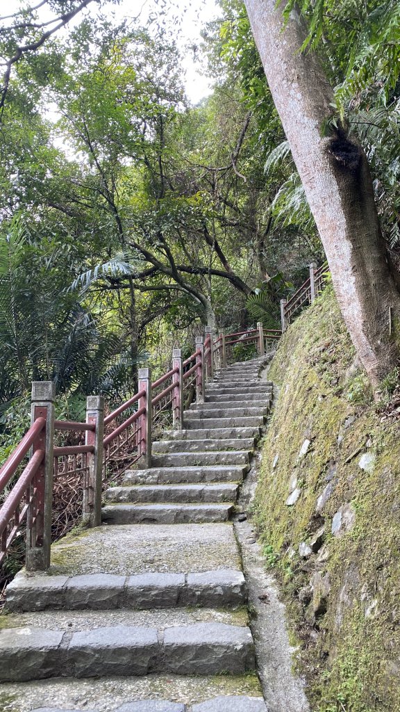 礁溪五峰旗探險趣_818775