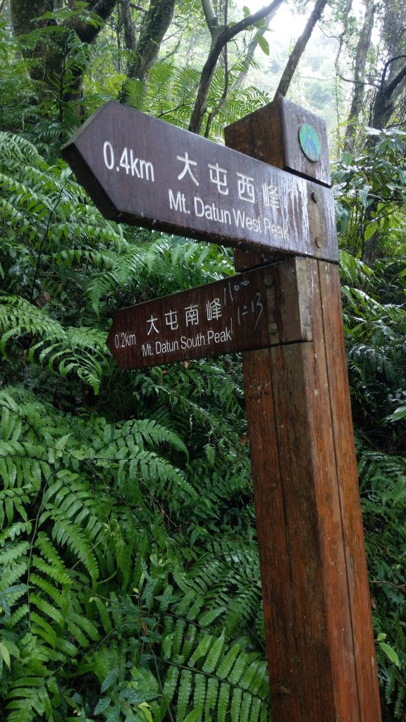 陽明山東西大縱走活動_403385