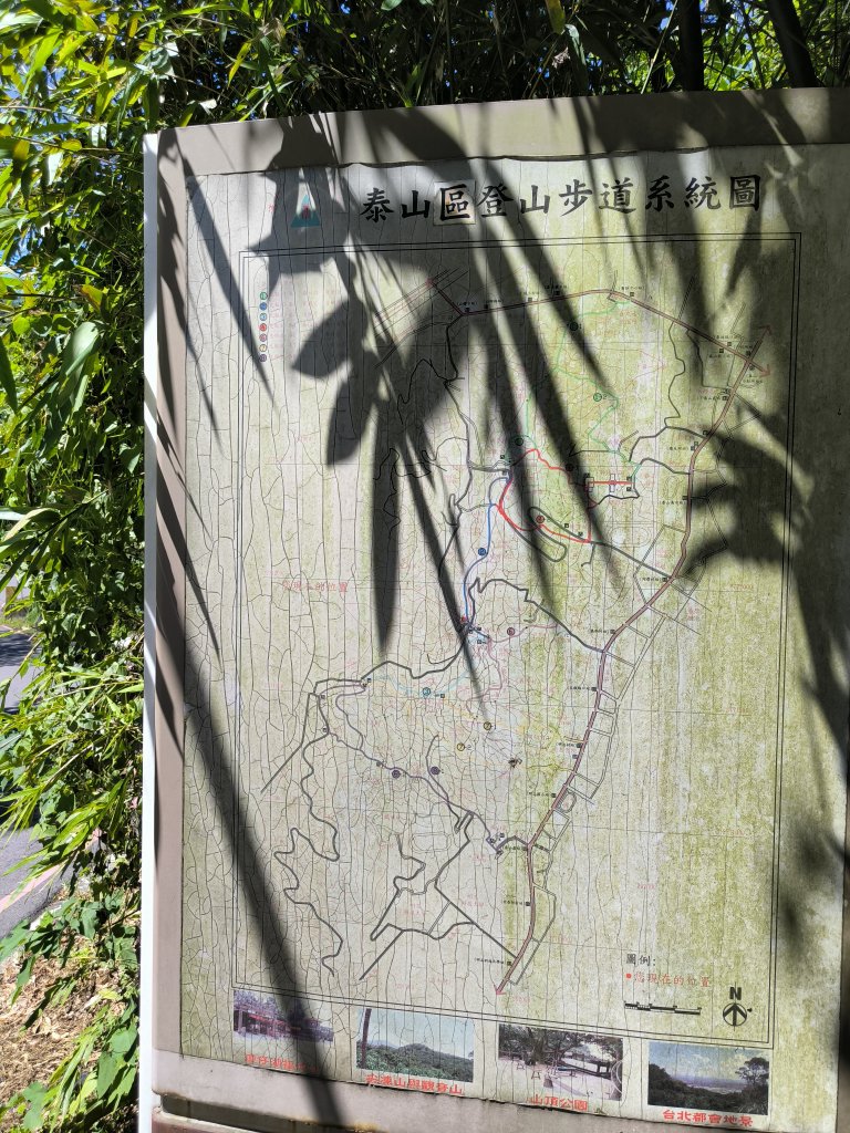 20250906泰山辭修公園、尖棟山、69步道、瓊仔胡_2879472