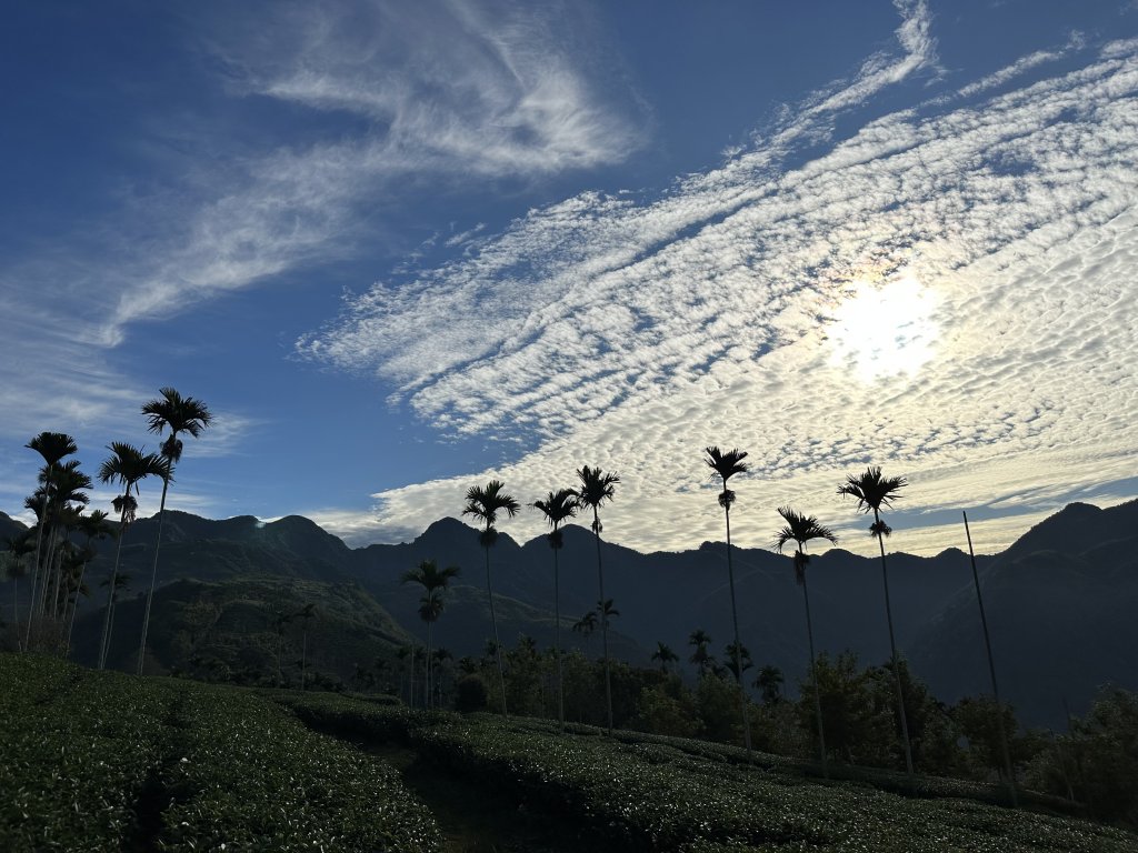 竹崎十三連峰 (阿里山四大天王越野賽路線)_1932697