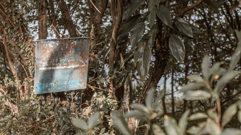 菅芒浪白｜五分山_2356461