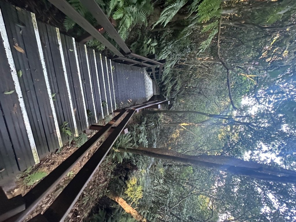 大崙頭尾山_2600036