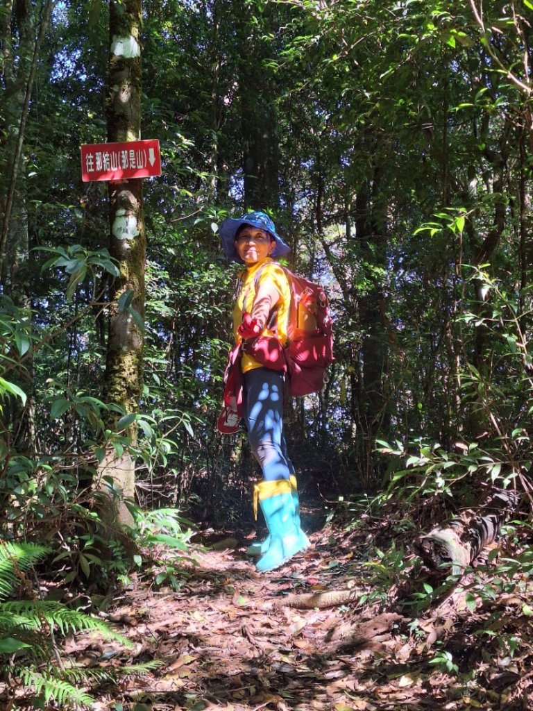 嘎色鬧上那結山_2575538