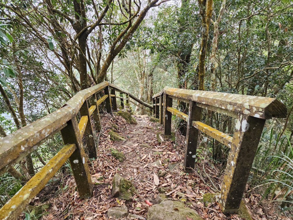 小百岳No.47⛰九份二山_2448589