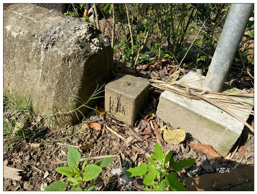 老崎古道、老崎坪頂山 (頭份)_2737110