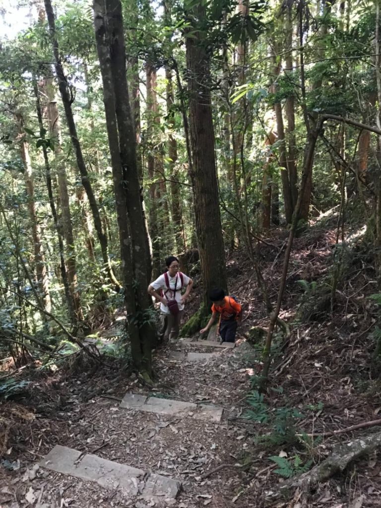 雪見之美 東洗水山北坑山完攻_340143