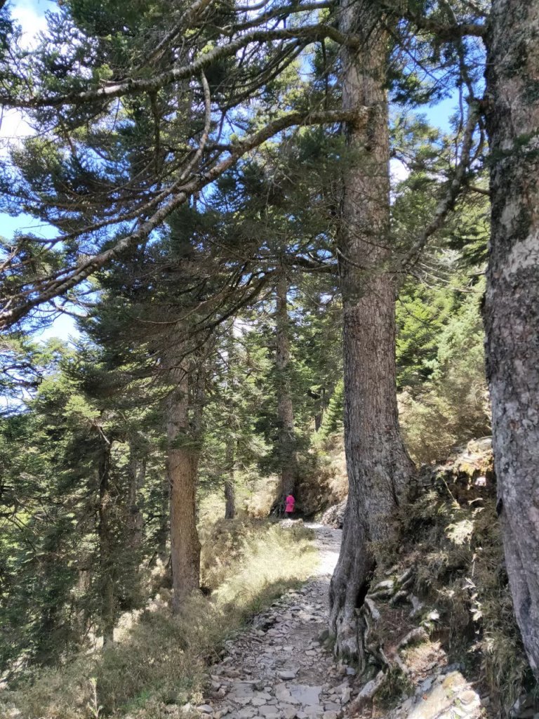 【忠の玉山單攻】~台灣地表最高的石頭~20200614_1742710