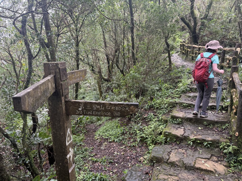 二格山 2025.07.20_2864219