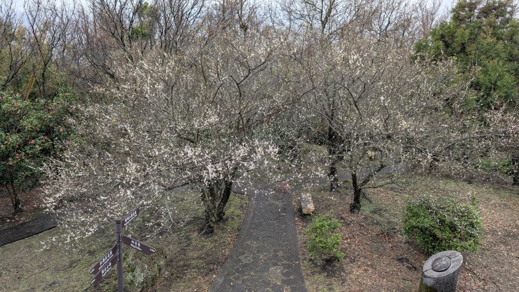 114.12.27尖山-40砲陣地之旅封面圖
