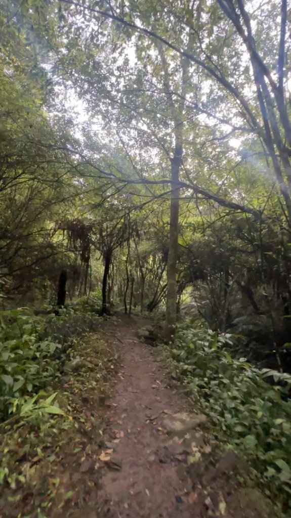 新竹橫山-騎龍古道_2613605