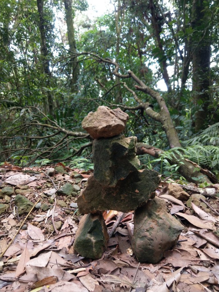 馬那邦山（天然湖起登）_1019698