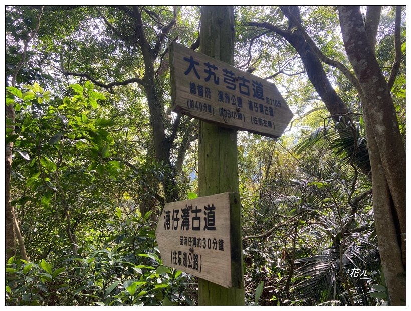 頭寮山、內湳溝山、牛角湳西南峰O型連走_2738948