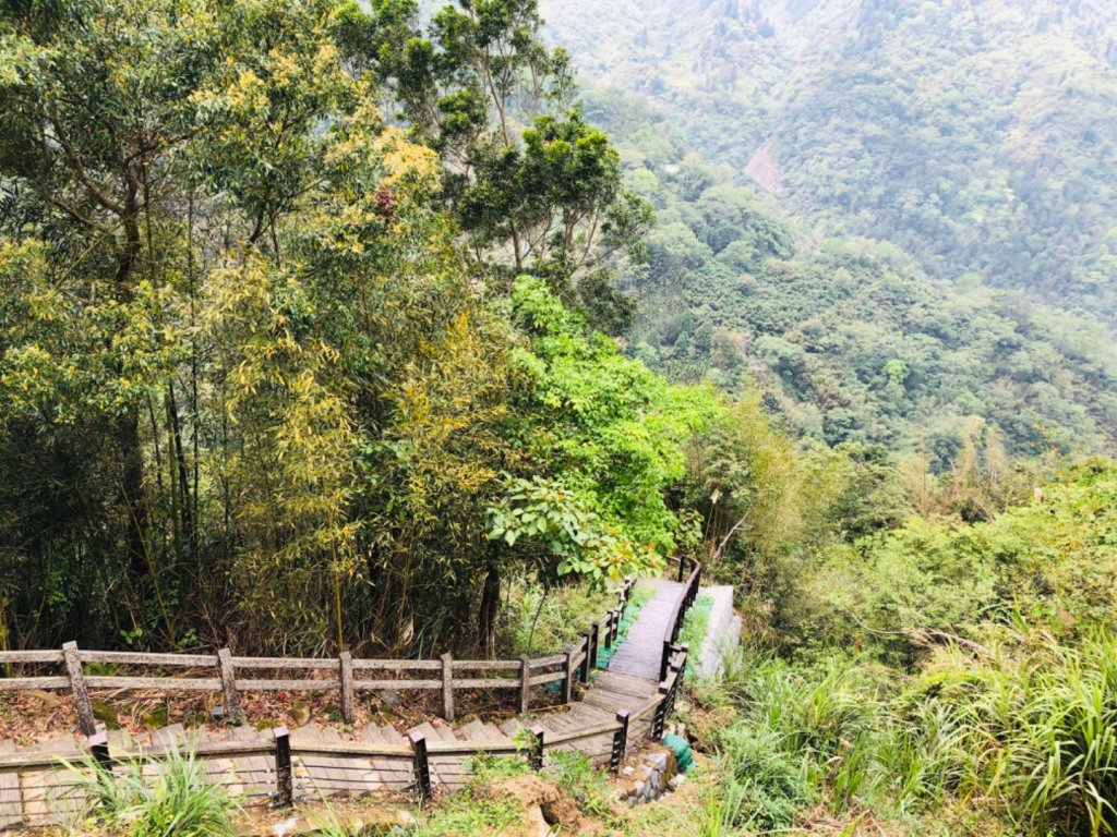 1090404青年嶺步道_904176