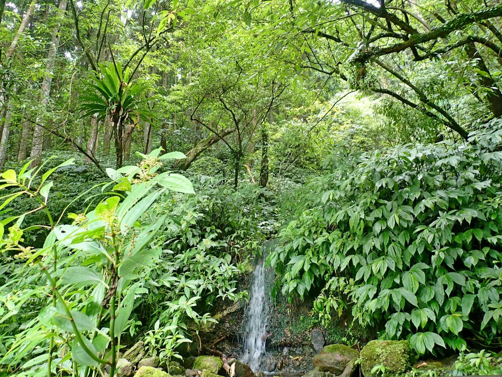 三角湖向天湖光天高山o走-專程來看海狸_624705