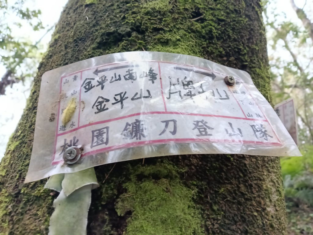 蝙蝠洞步道+觀音洞步道+牌子山+金平山南峰+金牌山+觀音洞步道(金牌逆縱走)_2747833