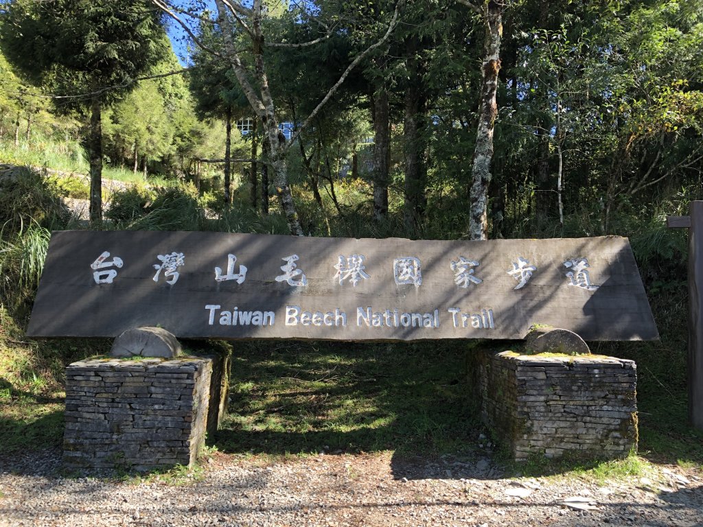 漫步探訪台灣山毛櫸國家步道_965858