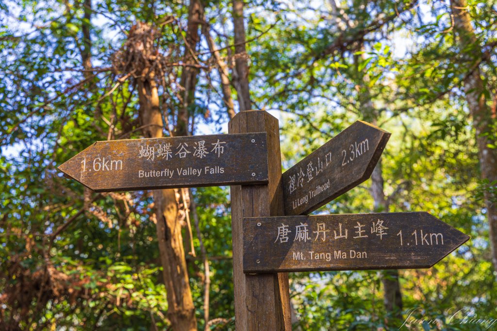 谷關七雄_唐麻丹山_3015616