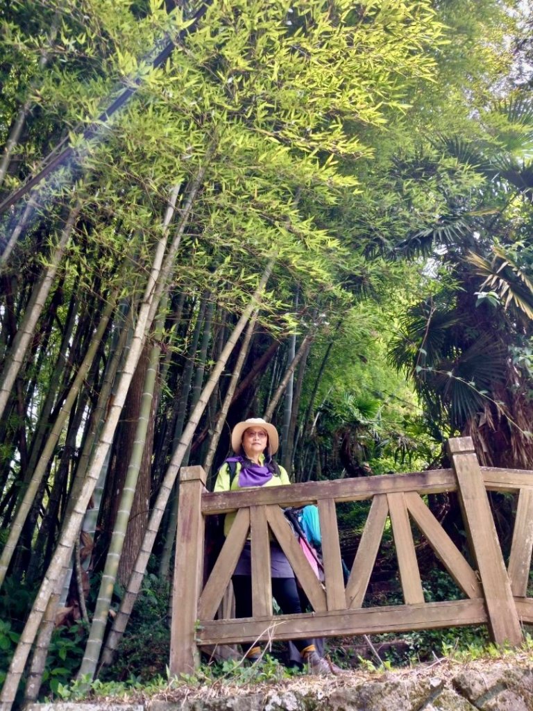 頂石槕步道群順訪樂野山_2808467