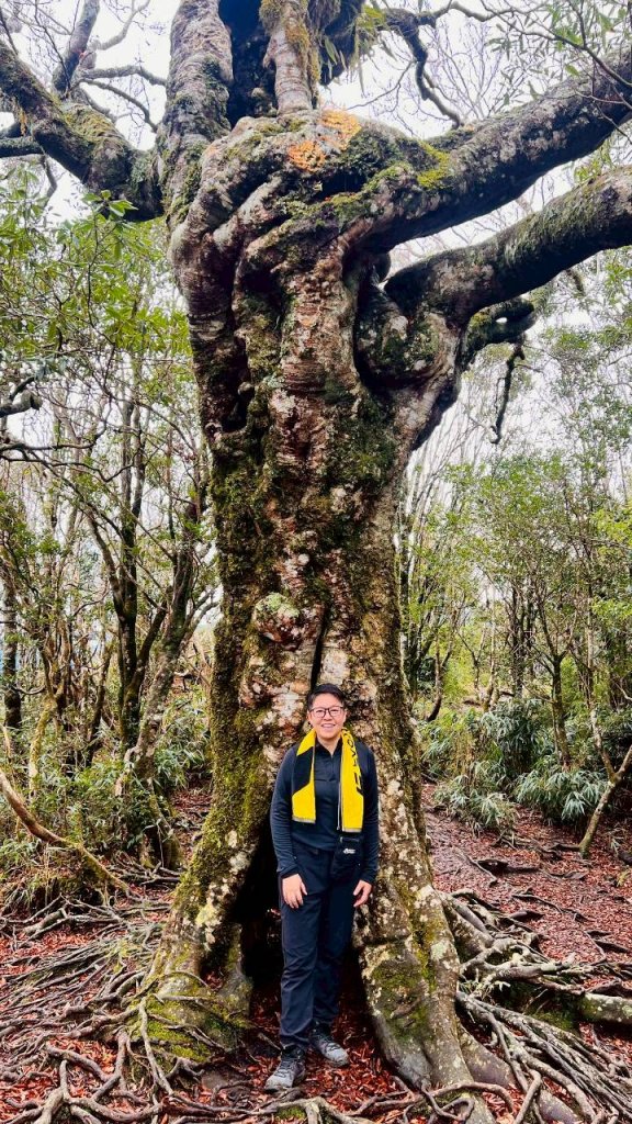 🌈12/28（日）北得拉曼神木+內鳥嘴山✨FB：熊熊趴爬走🌈_2971282