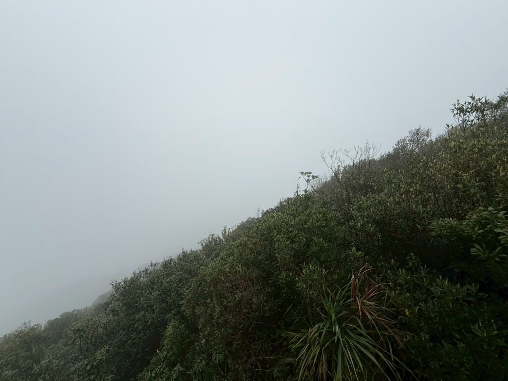 新北 汐止 柯子林橋-柯子林天然泳池-友蚋山南峰-友蚋山-新山-夢湖-柯子林橋_2988476