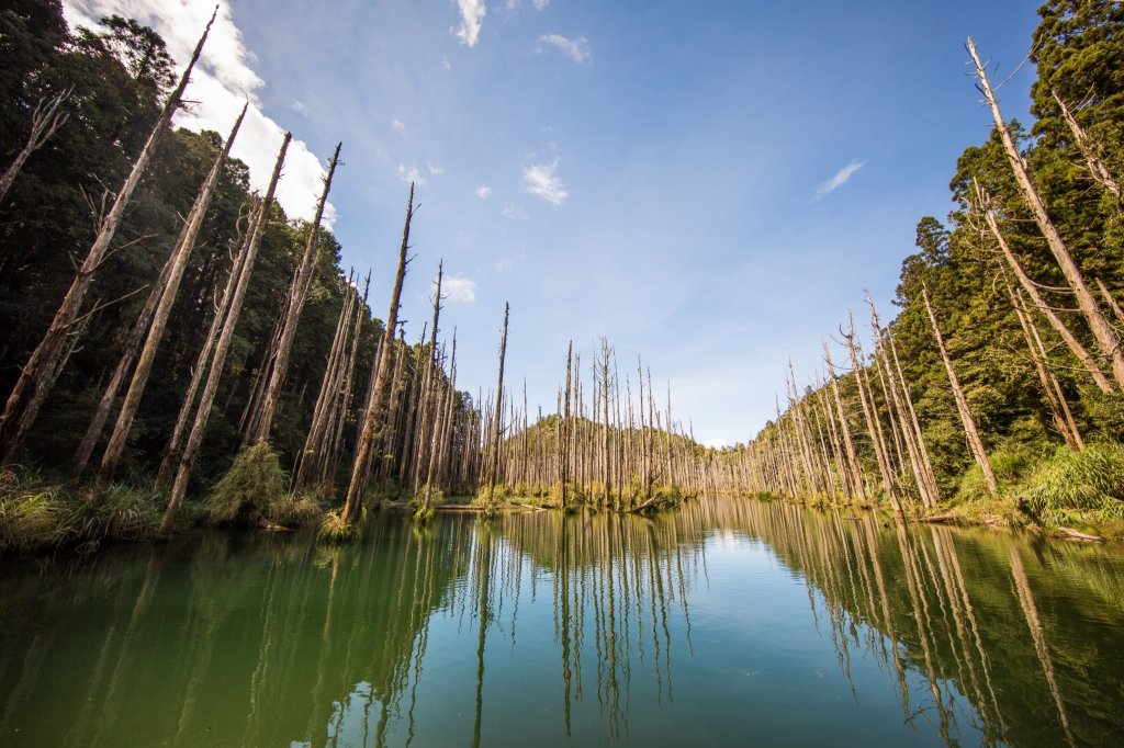 水樣森林 第一次在山裡過夜_659556