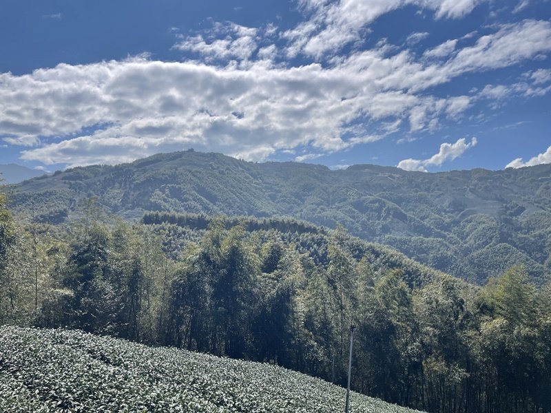 鹿谷小半天七連峰封面圖