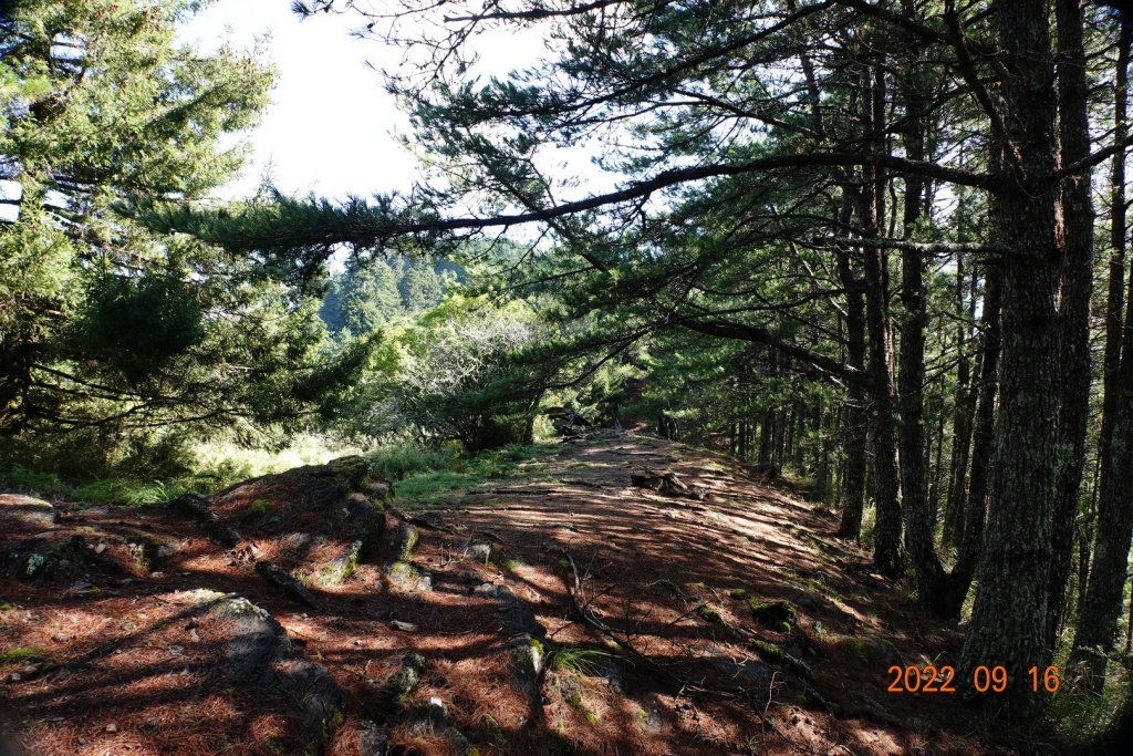 臺中 和平 平岩山(二等)_1846870