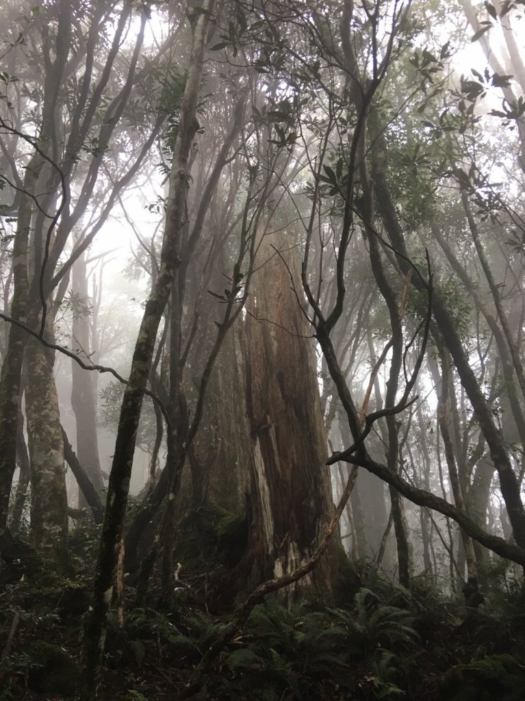 復興尖山之速_446694