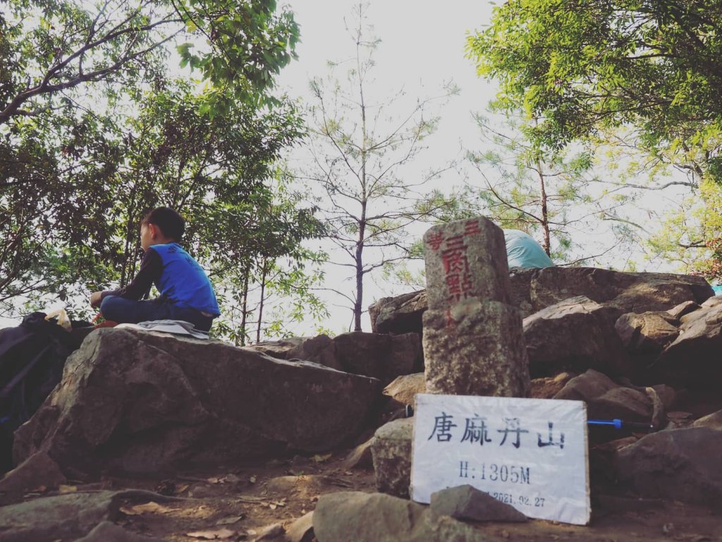 唐麻丹_1378059