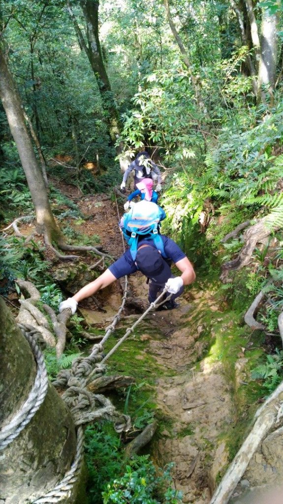 東眼山上北插天山_439475