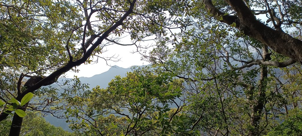 20240228_那羅山步道_2441044