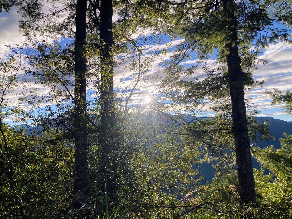 祝山觀日步道(小笠原山)_2649628