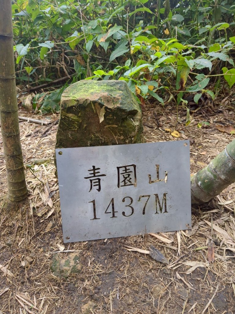 四大天王山縱走獨立山(雙溪路線)_2754467