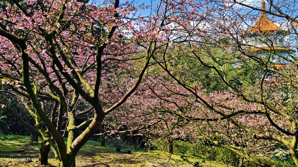 天元宮了嗎？2/3&10_2992658