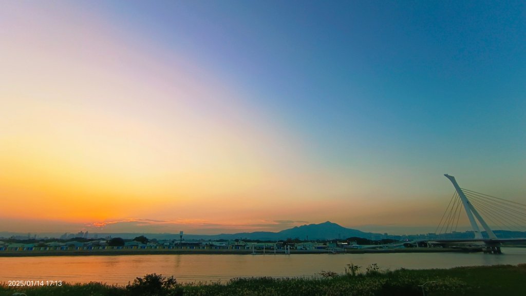 雙溪公園賞花&原住民公園落羽松&故宮1/14_2690152